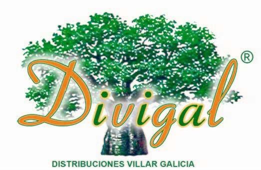 logo de distribuciones villar divigal